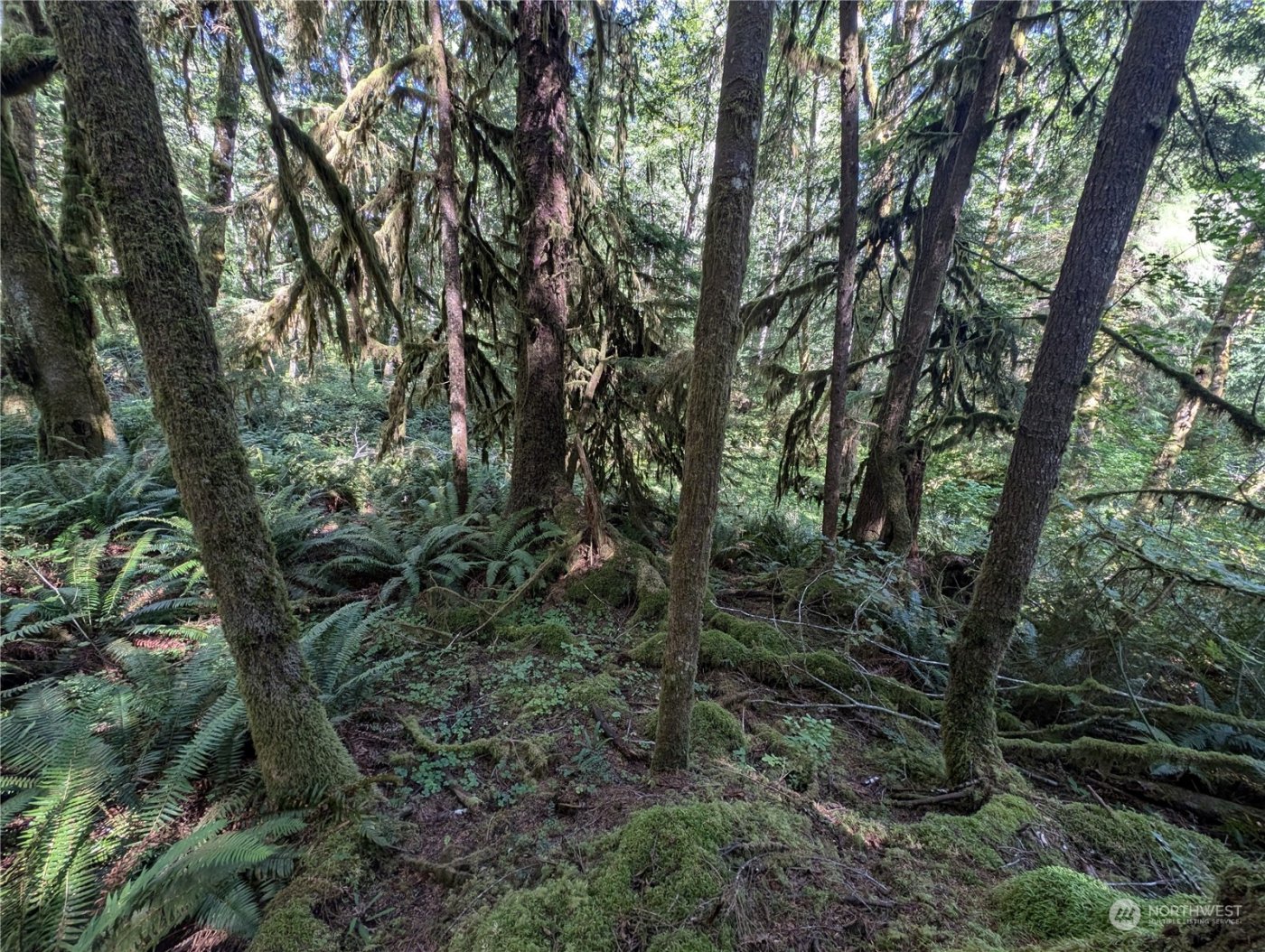 99992 Dowans Creek Road , Forks, WA 98331