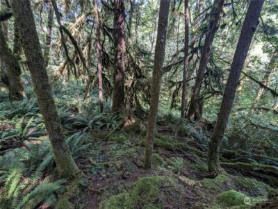 99992 Dowans Creek Road , Forks, WA 98331 - Photo 23