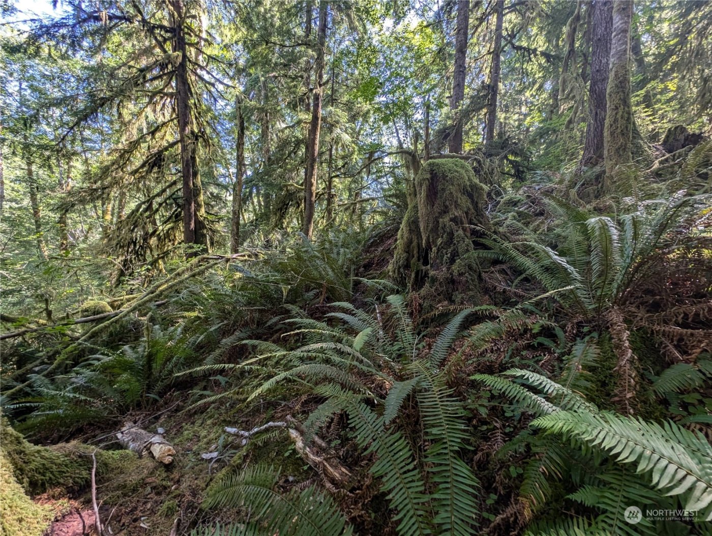 99992 Dowans Creek Road , Forks, WA 98331