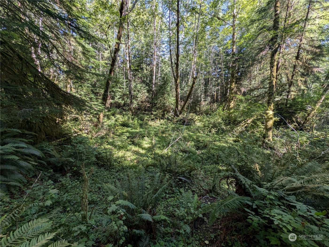 99992 Dowans Creek Road , Forks, WA 98331