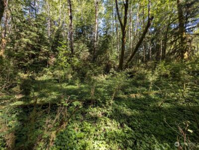 99992 Dowans Creek Road , Forks, WA 98331 - Photo 27