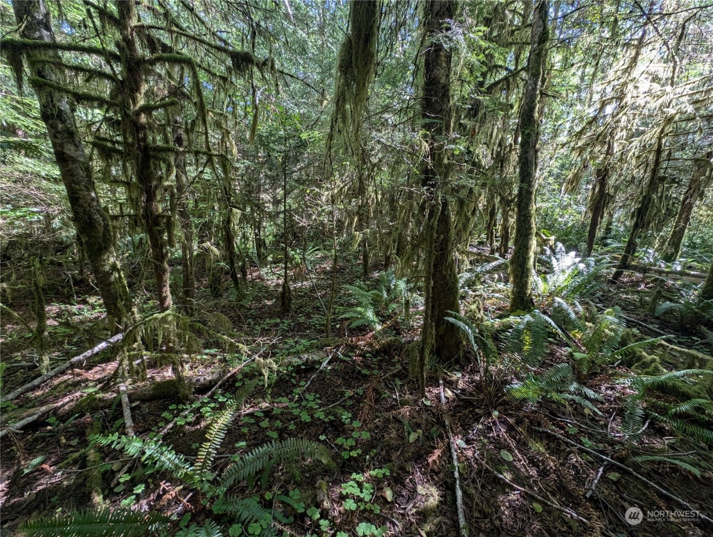 99992 Dowans Creek Road , Forks, WA 98331