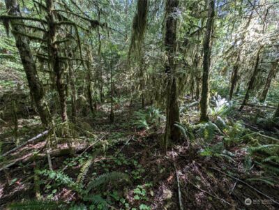 99992 Dowans Creek Road , Forks, WA 98331 - Photo 28