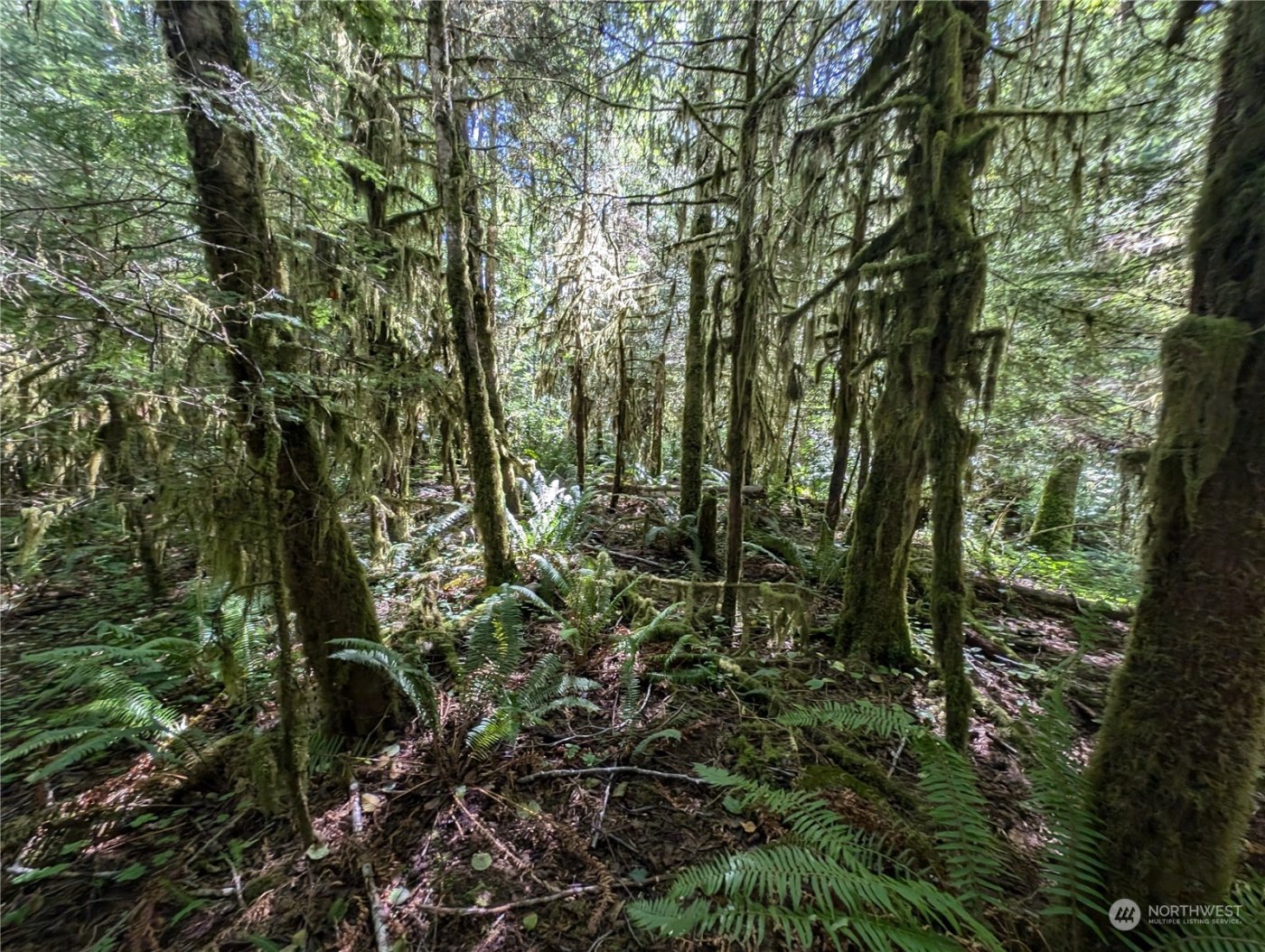 99992 Dowans Creek Road , Forks, WA 98331