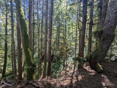 99992 Dowans Creek Road , Forks, WA 98331 - Photo 37