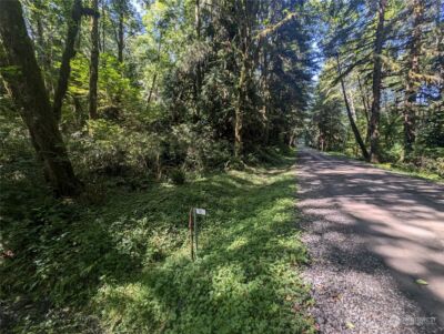 99992 Dowans Creek Road , Forks, WA 98331 - Photo 38