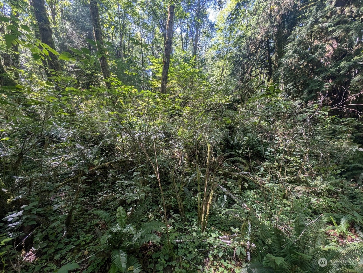 99992 Dowans Creek Road , Forks, WA 98331