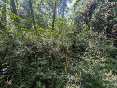 99992 Dowans Creek Road , Forks, WA 98331 - Photo 39