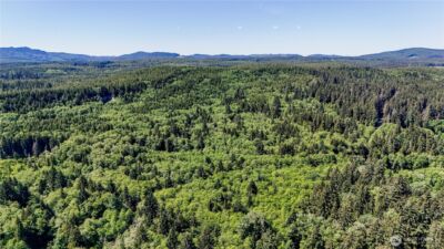 99992 Dowans Creek Road , Forks, WA 98331 - Photo 4