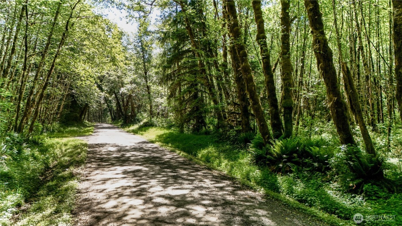 99992 Dowans Creek Road , Forks, WA 98331