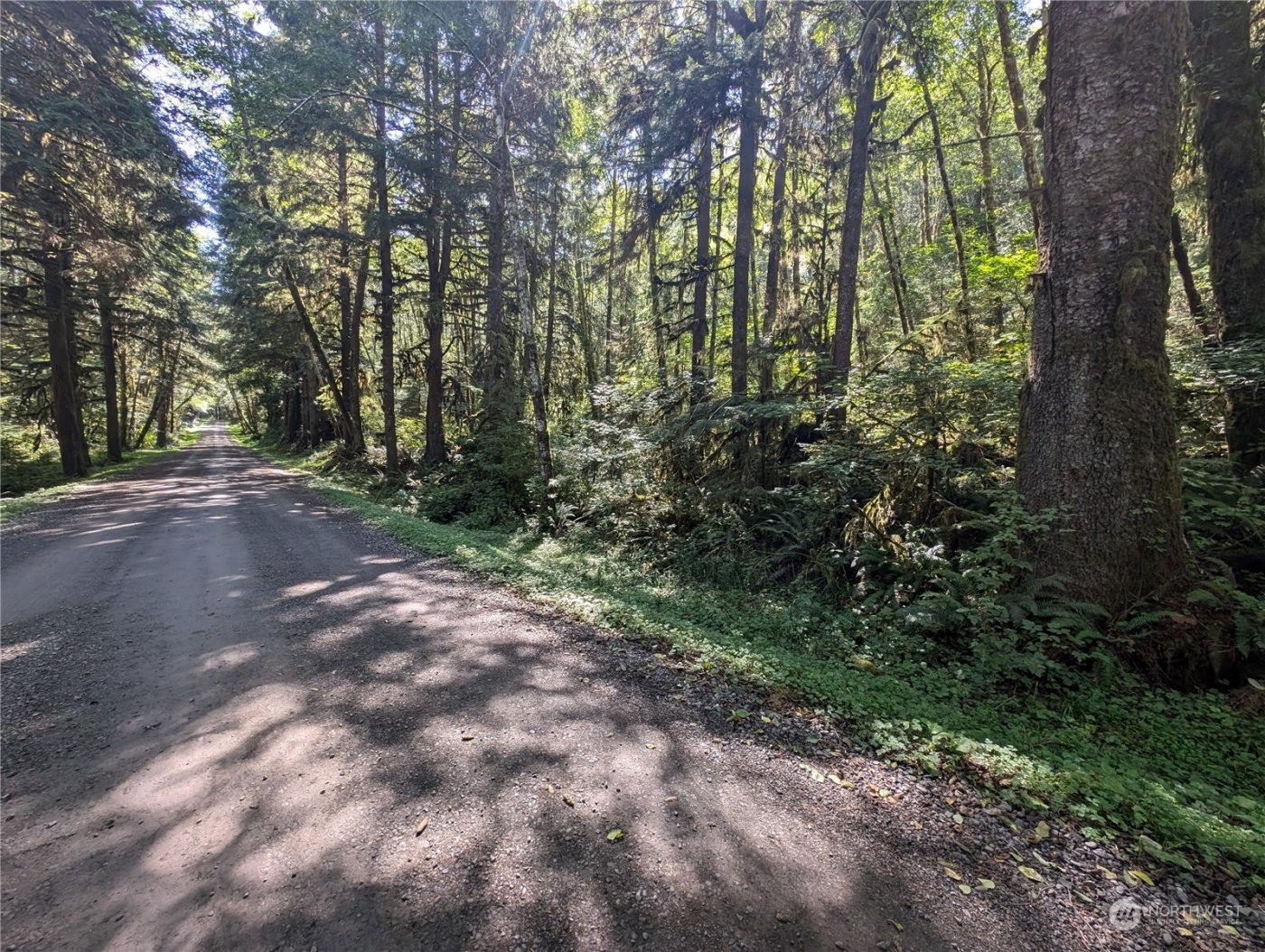 99992 Dowans Creek Road , Forks, WA 98331