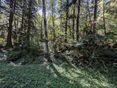 99992 Dowans Creek Road , Forks, WA 98331 - Photo 8