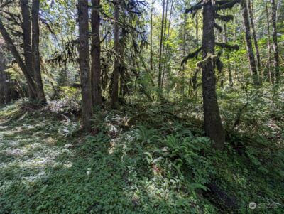 99992 Dowans Creek Road , Forks, WA 98331 - Photo 9
