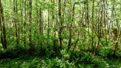 99993 Dowans Creek Road , Forks, WA 98331