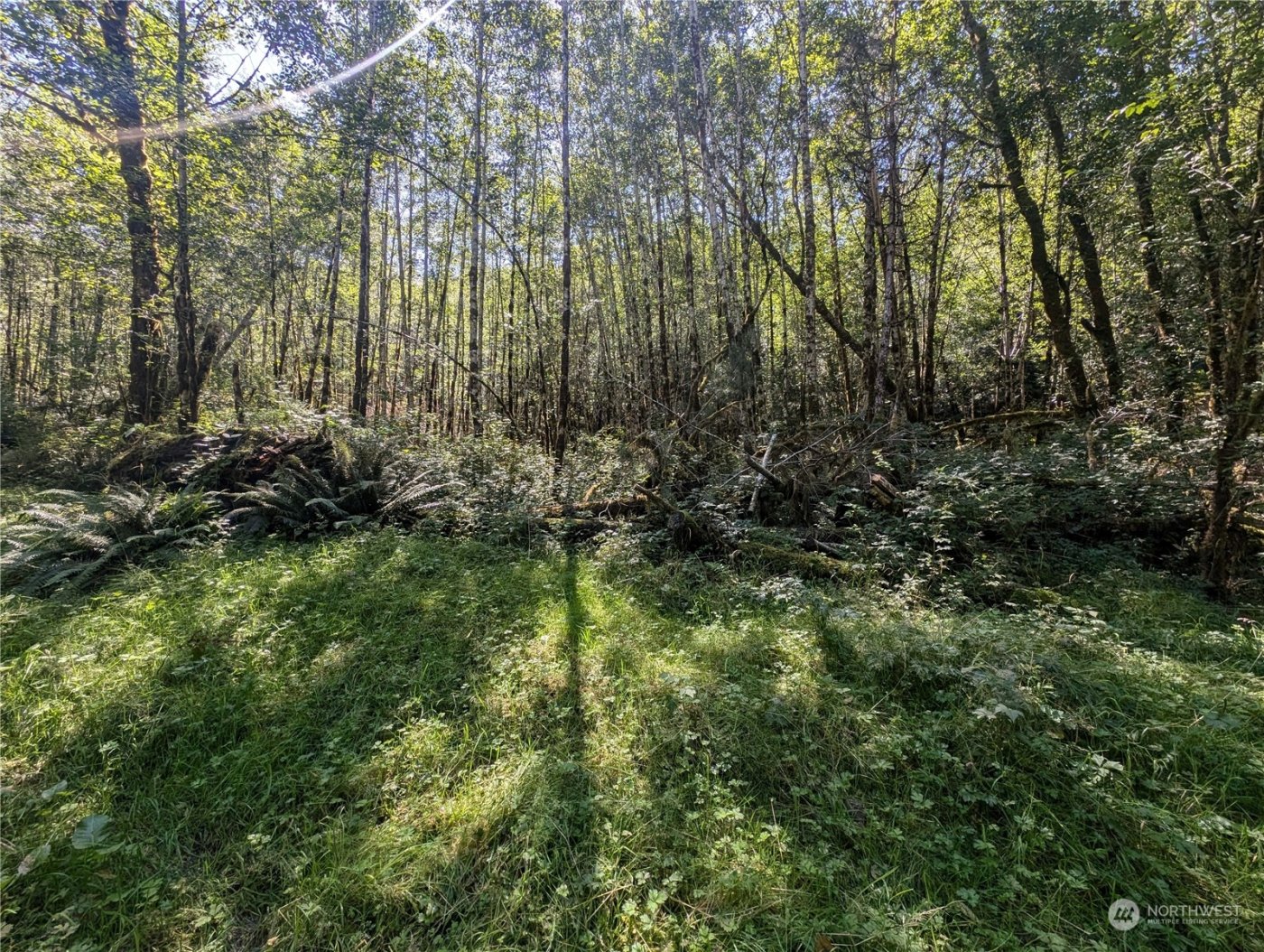 99993 Dowans Creek Road , Forks, WA 98331