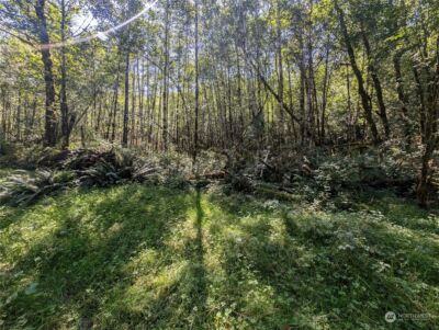 99993 Dowans Creek Road , Forks, WA 98331 - Photo 11