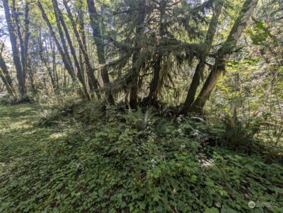 99993 Dowans Creek Road , Forks, WA 98331 - Photo 12
