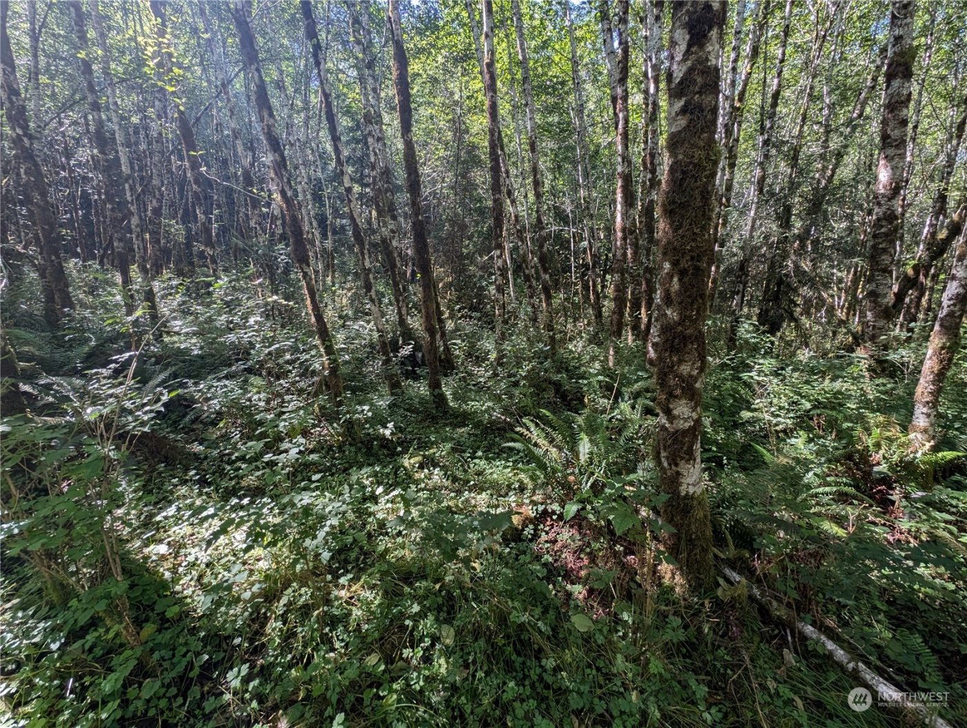 99993 Dowans Creek Road , Forks, WA 98331