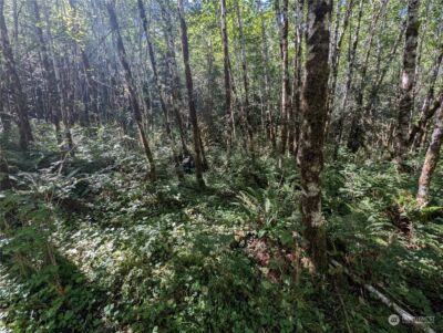 99993 Dowans Creek Road , Forks, WA 98331 - Photo 14