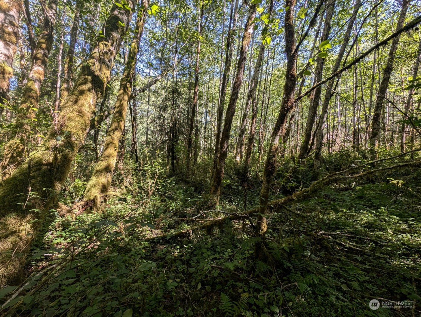 99993 Dowans Creek Road , Forks, WA 98331