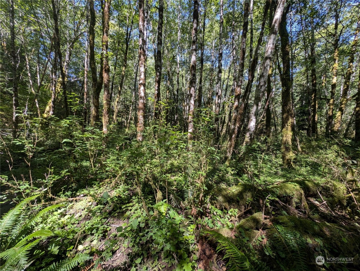 99993 Dowans Creek Road , Forks, WA 98331