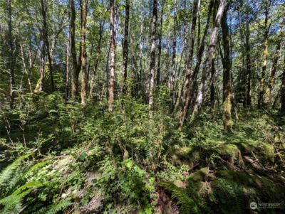 99993 Dowans Creek Road , Forks, WA 98331 - Photo 16