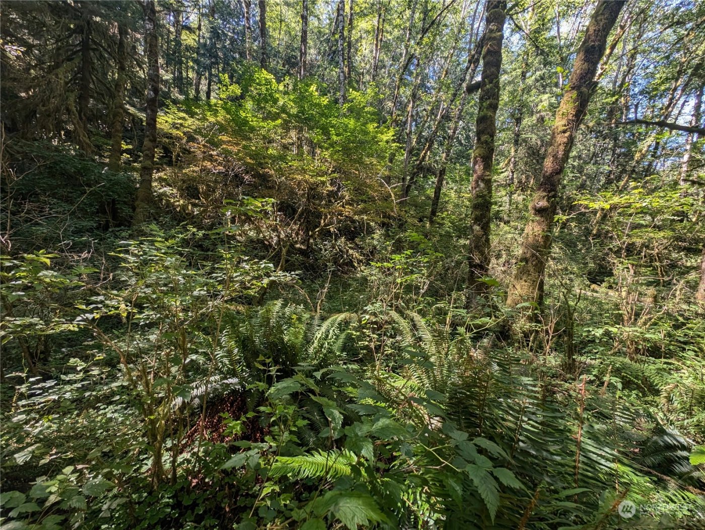 99993 Dowans Creek Road , Forks, WA 98331