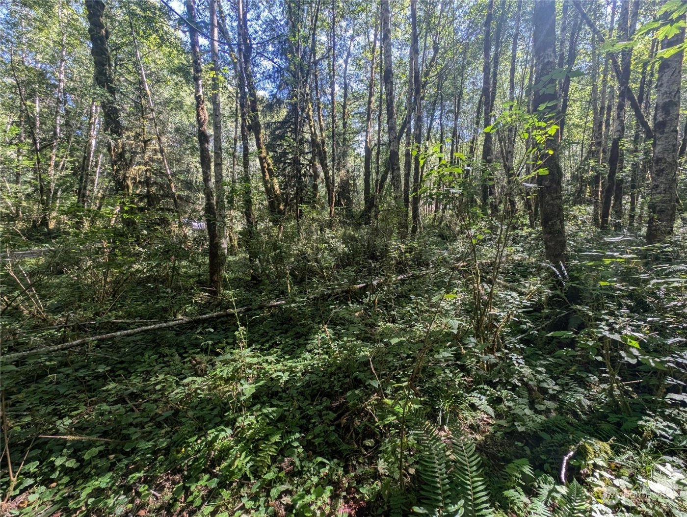 99993 Dowans Creek Road , Forks, WA 98331