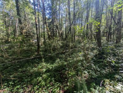 99993 Dowans Creek Road , Forks, WA 98331 - Photo 21