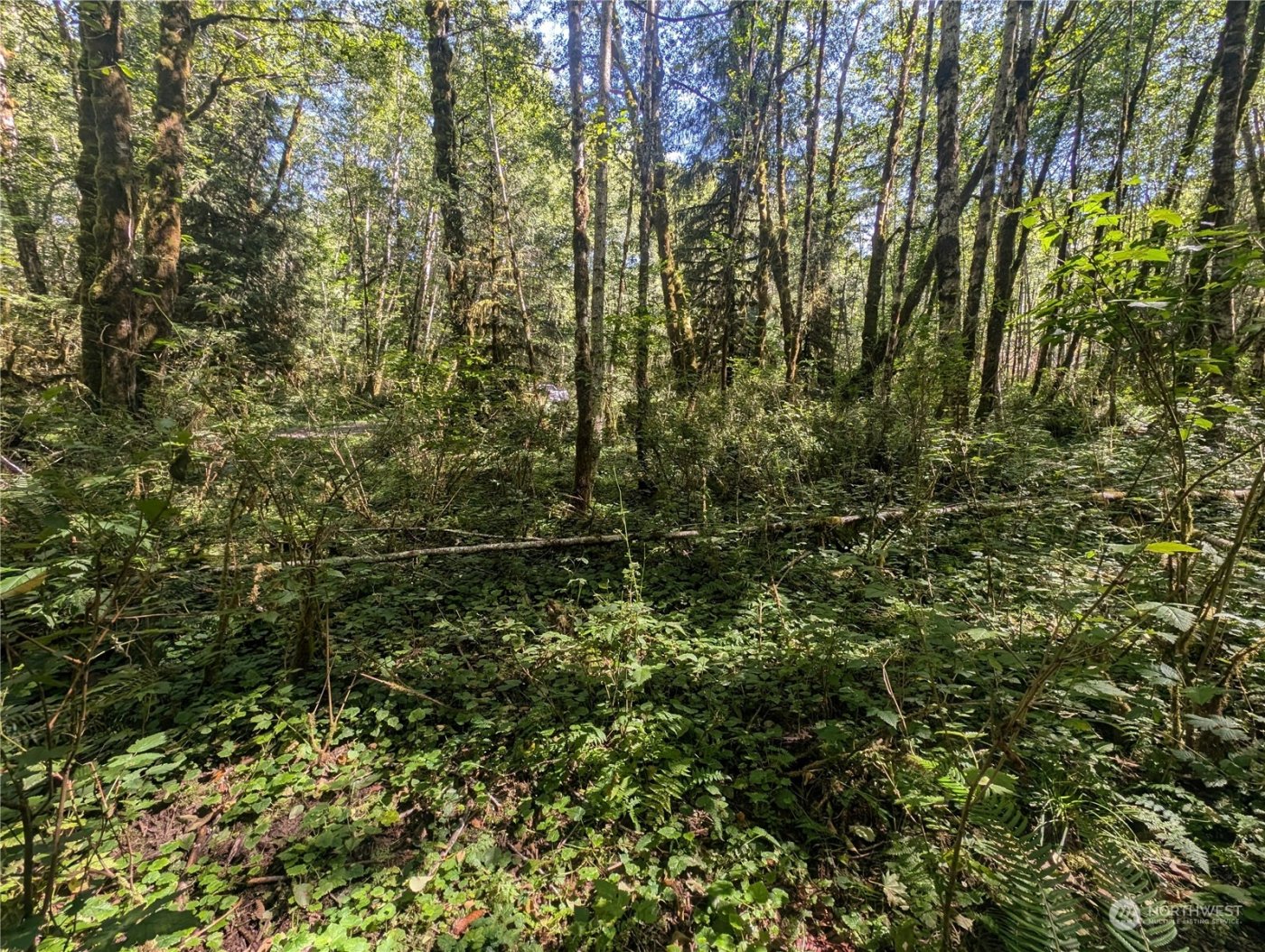 99993 Dowans Creek Road , Forks, WA 98331