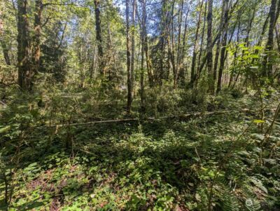 99993 Dowans Creek Road , Forks, WA 98331 - Photo 22