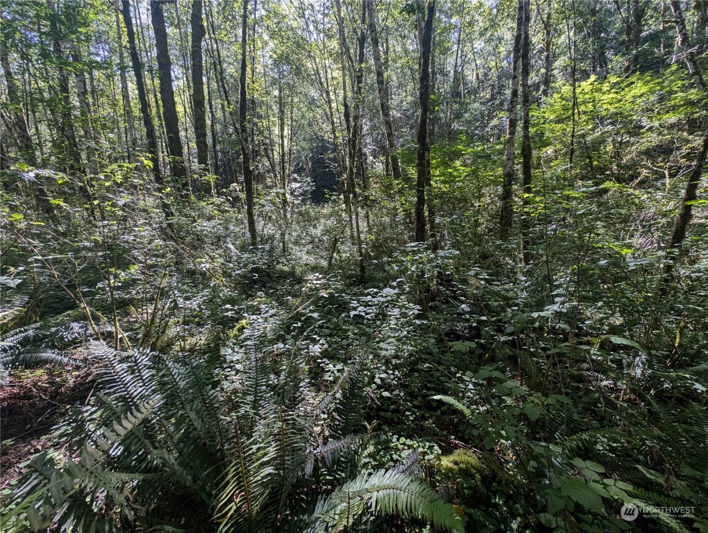 99993 Dowans Creek Road , Forks, WA 98331