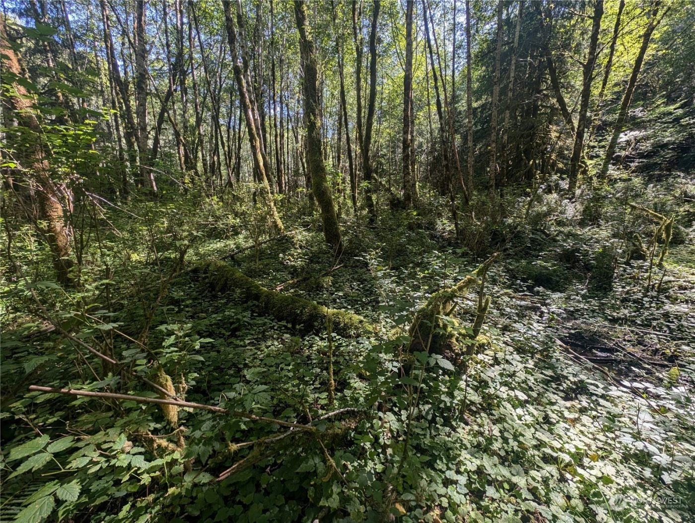 99993 Dowans Creek Road , Forks, WA 98331