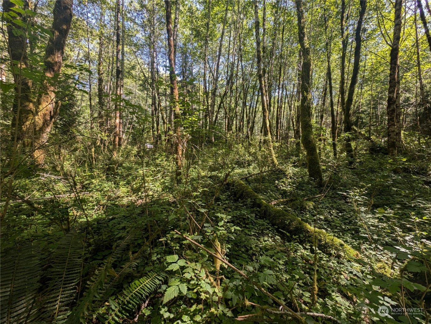 99993 Dowans Creek Road , Forks, WA 98331