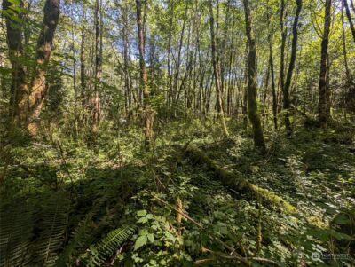 99993 Dowans Creek Road , Forks, WA 98331 - Photo 27