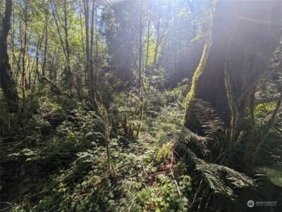 99993 Dowans Creek Road , Forks, WA 98331 - Photo 28