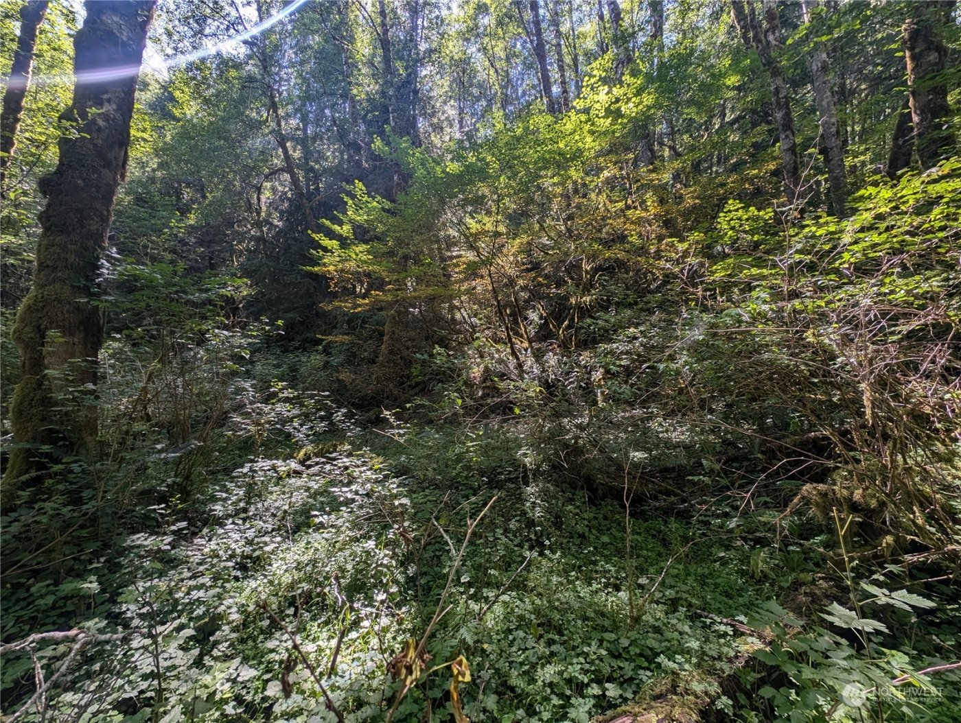 99993 Dowans Creek Road , Forks, WA 98331