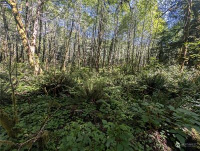 99993 Dowans Creek Road , Forks, WA 98331 - Photo 30