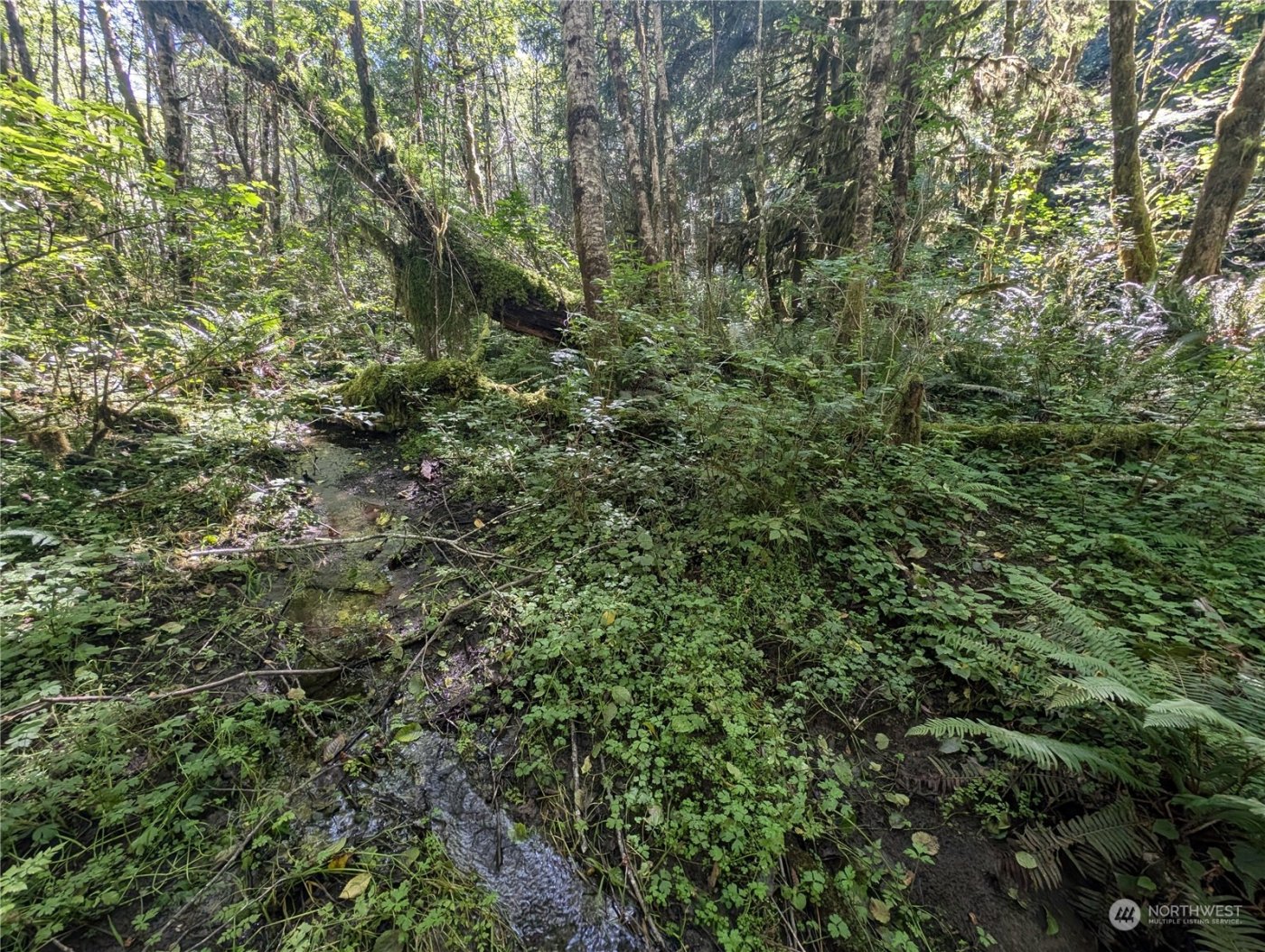 99993 Dowans Creek Road , Forks, WA 98331