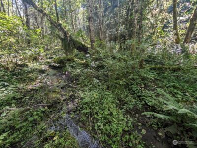 99993 Dowans Creek Road , Forks, WA 98331 - Photo 31