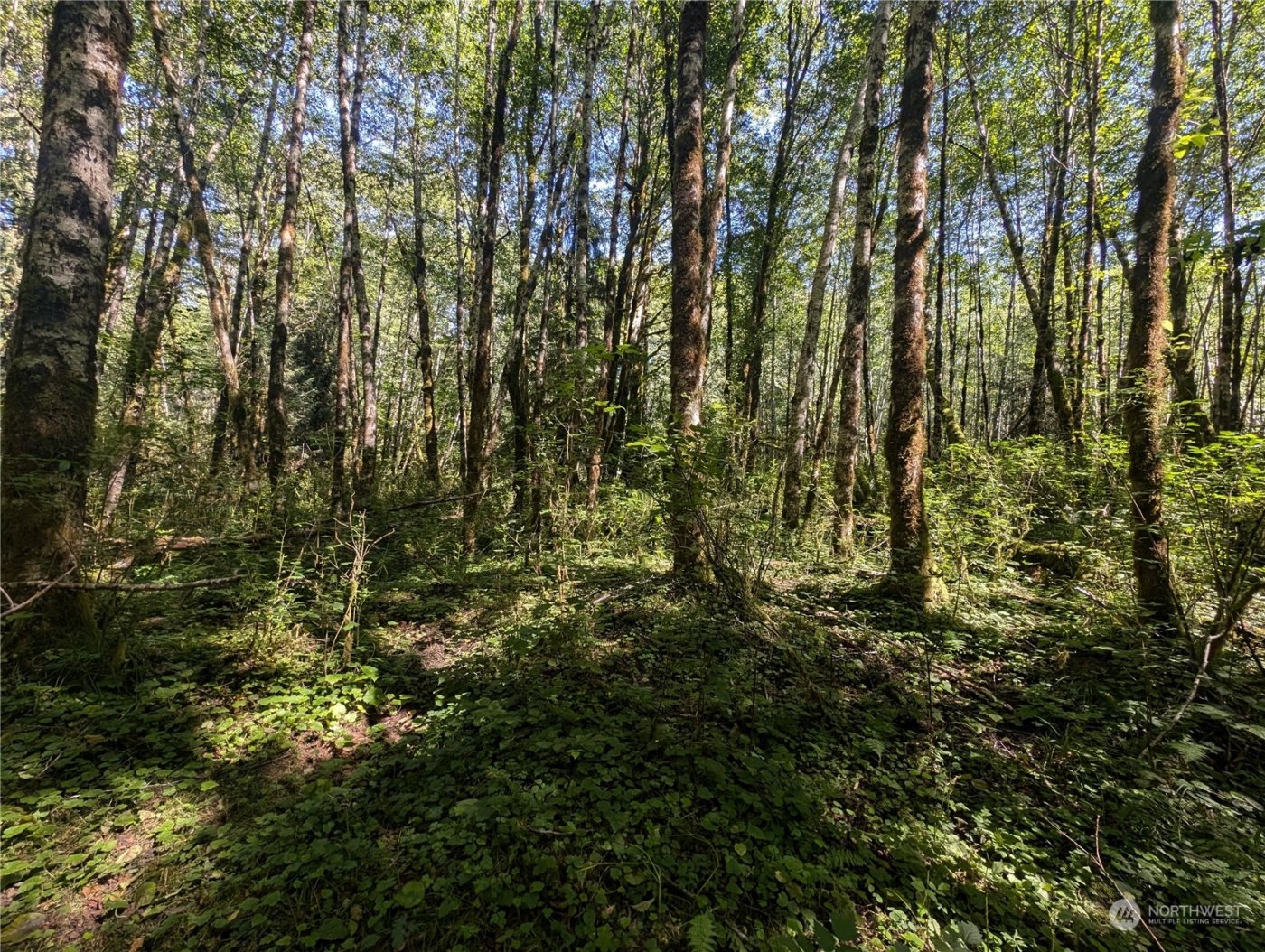 99993 Dowans Creek Road , Forks, WA 98331