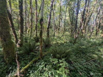 99993 Dowans Creek Road , Forks, WA 98331 - Photo 34