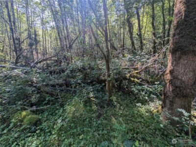 99993 Dowans Creek Road , Forks, WA 98331 - Photo 36