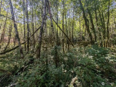 99993 Dowans Creek Road , Forks, WA 98331 - Photo 37