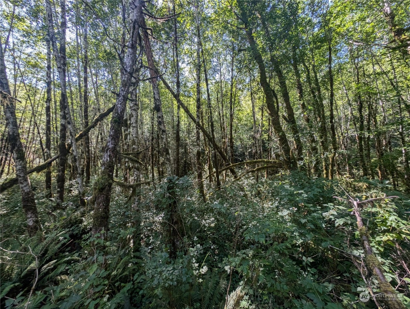 99993 Dowans Creek Road , Forks, WA 98331