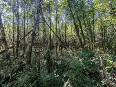 99993 Dowans Creek Road , Forks, WA 98331 - Photo 38