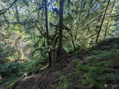 99993 Dowans Creek Road , Forks, WA 98331 - Photo 39