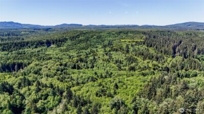 99993 Dowans Creek Road , Forks, WA 98331 - Photo 40