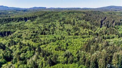 99993 Dowans Creek Road , Forks, WA 98331 - Photo 5