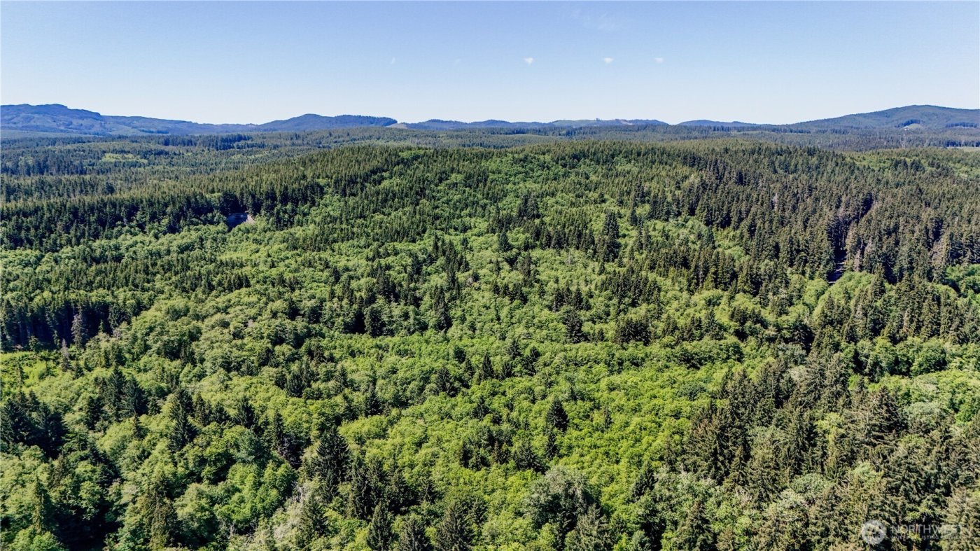 99993 Dowans Creek Road , Forks, WA 98331